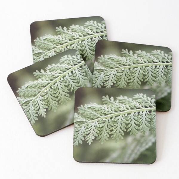 Item preview, Fern designed and sold by Carolyn's Captures - Original Photohgraphy.