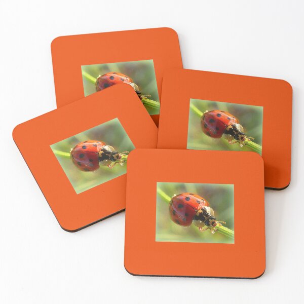 Item preview, Ladybird designed and sold by angel1.