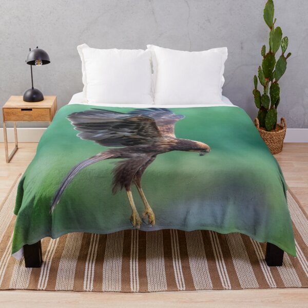 Item preview, Juvenile Marsh Harrier 2 Circus aeruginosus designed and sold by GadgetgazPhoto.