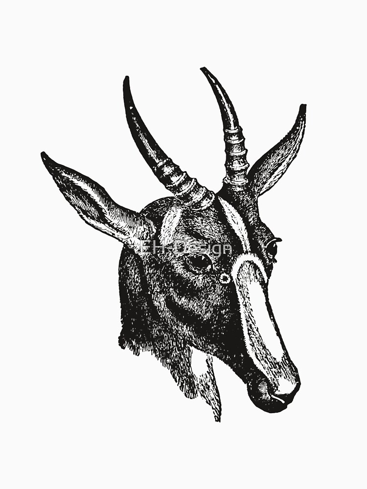 Antilope von EH-Design