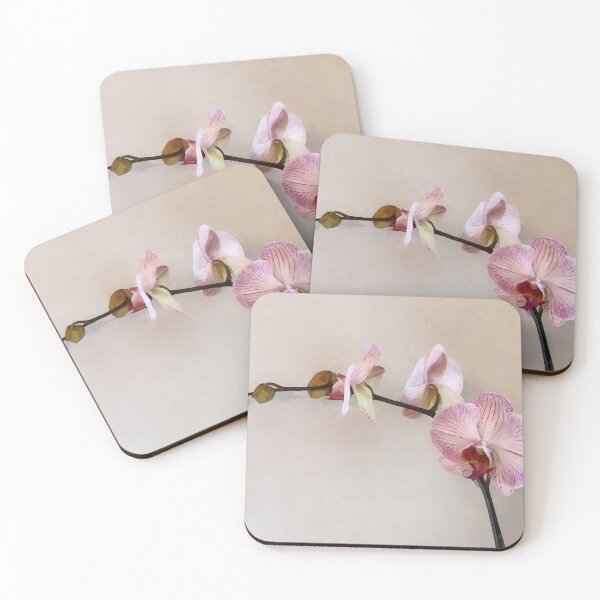 Item preview, Delicate Pink Phalaenopsis Orchids designed and sold by Susan Savad.