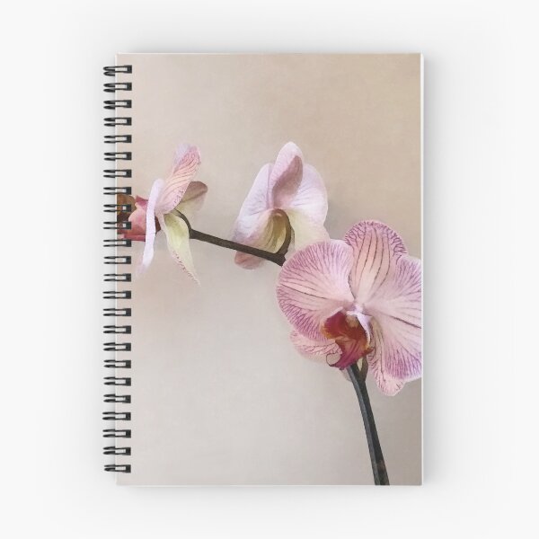 Item preview, Delicate Pink Phalaenopsis Orchids designed and sold by Susan Savad.