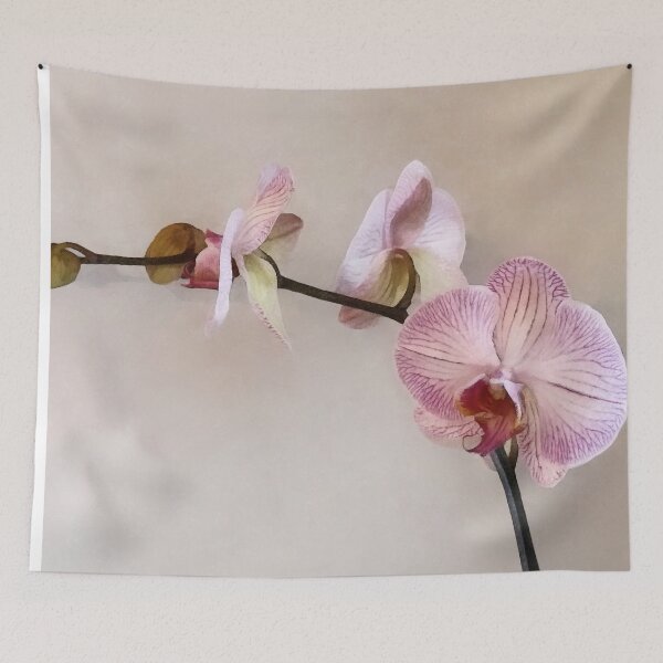 Item preview, Delicate Pink Phalaenopsis Orchids designed and sold by Susan Savad.