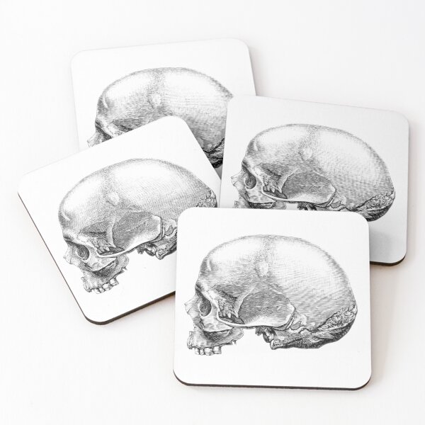 Item preview, anatomical skull designed and sold by wiccantoadstyle.