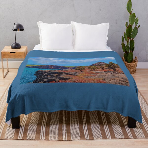 Item preview, Ecuador. Galapagos Islands. South Plaza Island. designed and sold by vadim19.