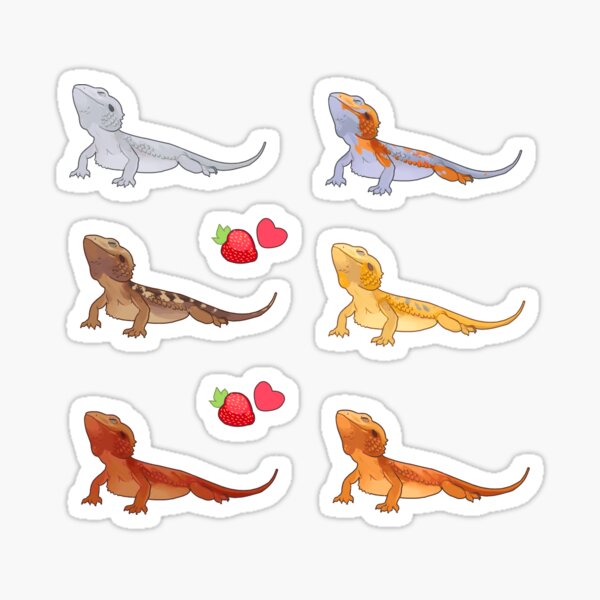 Handsome dragon- Set Sticker