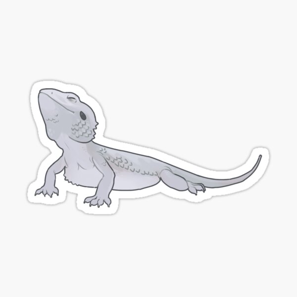 Handsome dragon- Wero Sticker