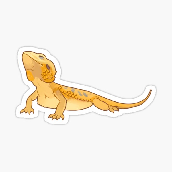 Handsome dragon- Citrus Sticker