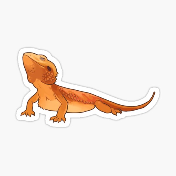 Handsome dragon- Orange Sticker