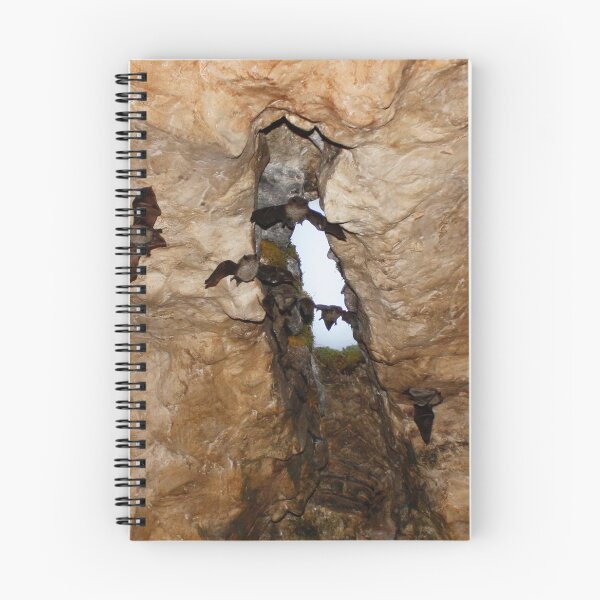 Item preview, Bat Cave designed and sold by AnnDixon.