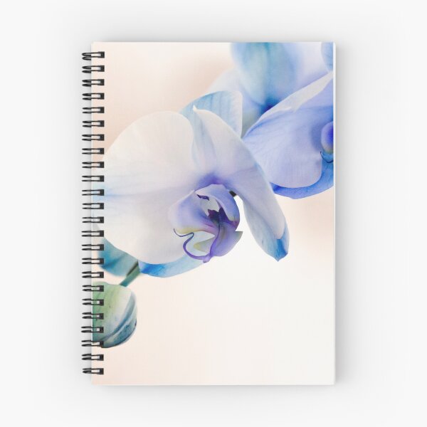 Artikelvorschau, Photographie Orchidée aux nuances de bleu entworfen und verkauft von LaPetiteBelette.