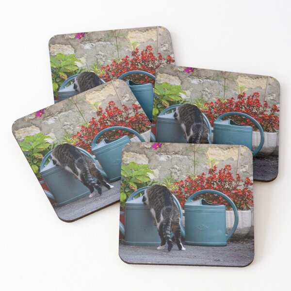 Item preview, Fotografía Le chat et l'arrosoir designed and sold by LaPetiteBelette.
