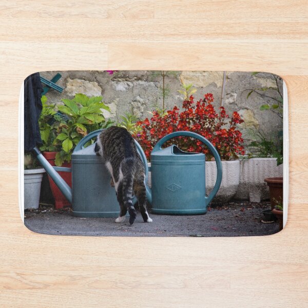Item preview, Photographie Le chat et l'arrosoir designed and sold by LaPetiteBelette.
