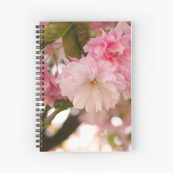 Aperçu de l'œuvre Photographie de délicates fleurs de cerisier créée et vendue par LaPetiteBelette.