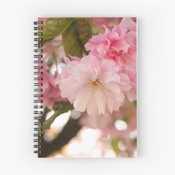 Item preview, Photographie de délicates fleurs de cerisier designed and sold by LaPetiteBelette.