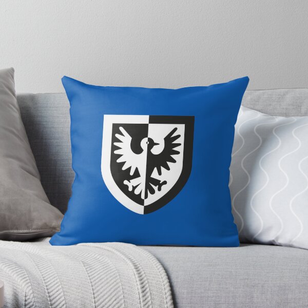 Falcons noirs Coussin