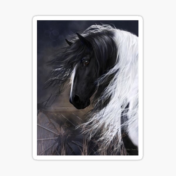 Gypsy Vanner Portrait Sticker