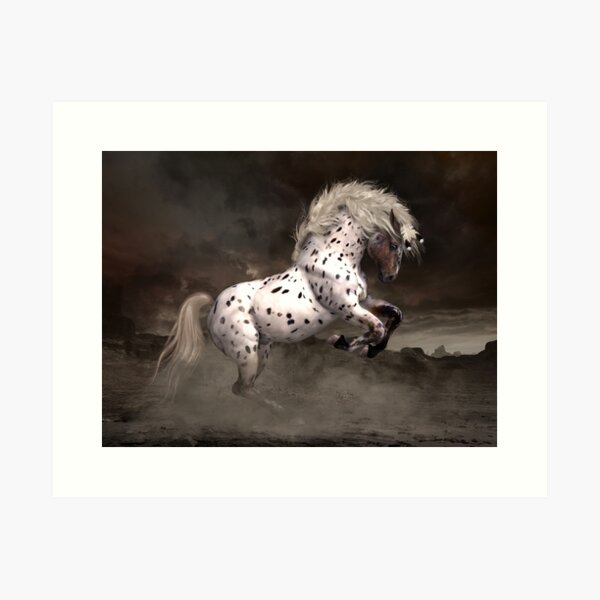 Leopard Appaloosa - Shiloh Art Print