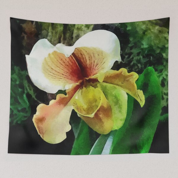 Item preview,  Paph Hellas Westonbirt Orchid designed and sold by Susan Savad.