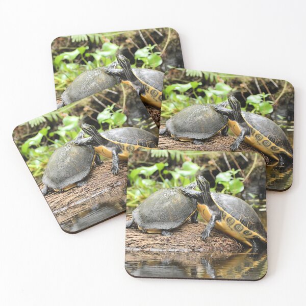 Item preview, Two Common Cooter Turtles Fighting over log. designed and sold by Jeff Ore.