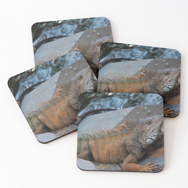 Item preview, Ecuador. Guayaquil. Iguana in the City Park. designed and sold by vadim19.