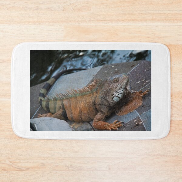 Item preview, Ecuador. Guayaquil. Iguana in the City Park. designed and sold by vadim19.