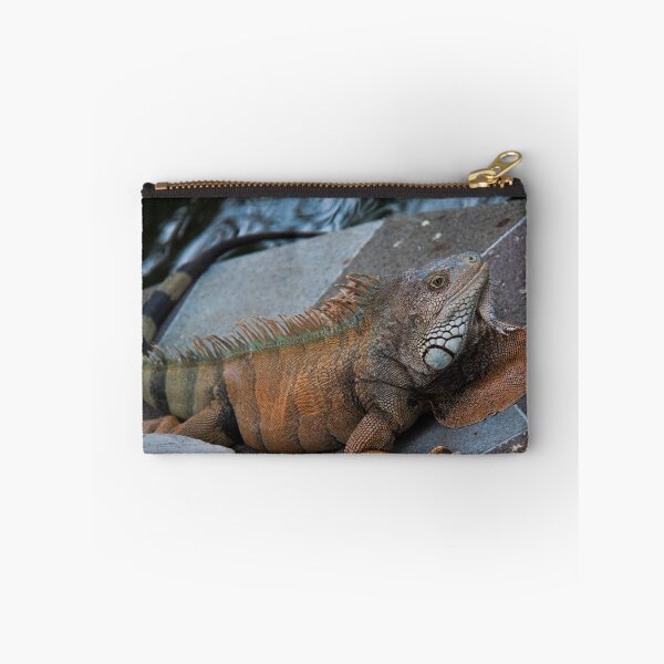 Item preview, Ecuador. Guayaquil. Iguana in the City Park. designed and sold by vadim19.