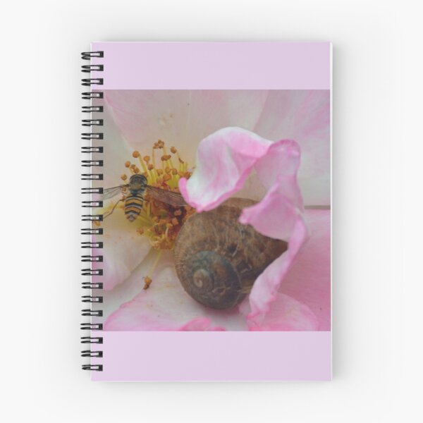 Item preview, The Snail and the Hover-fly in the safety of a Rose  designed and sold by lynn carter.