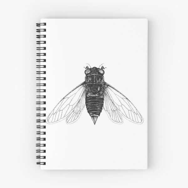 Item preview, Cicada designed and sold by bfdubay.
