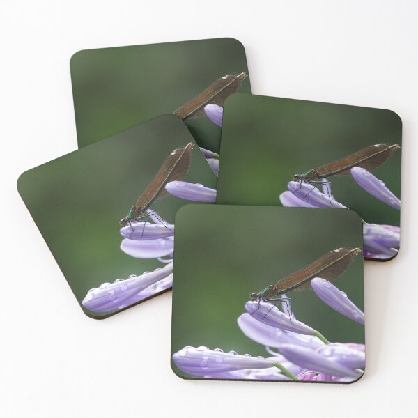 Item preview, Damselfly designed and sold by frogs123.