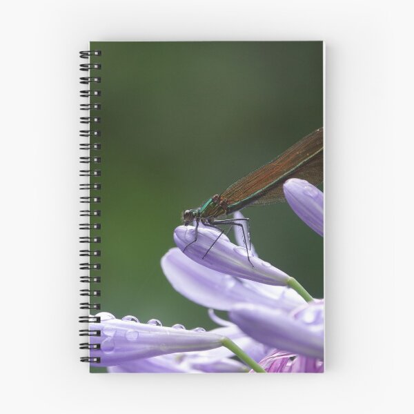 Item preview, Damselfly designed and sold by frogs123.