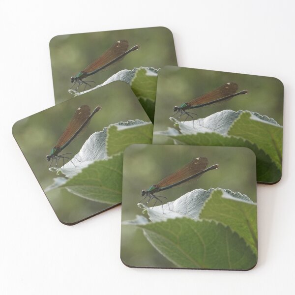 Item preview, Damselfly designed and sold by frogs123.