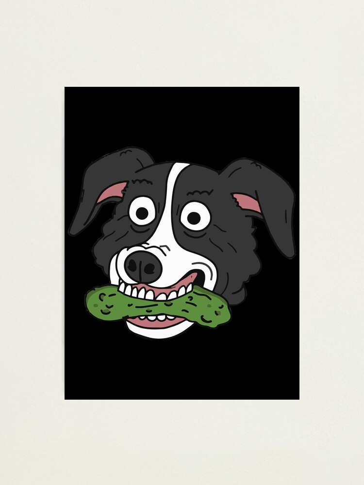 Mr. Pickles - 10 | Poster