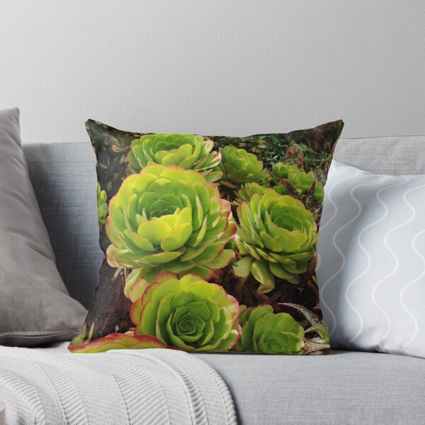 Item preview, Succulents designed and sold by liveart4evr.