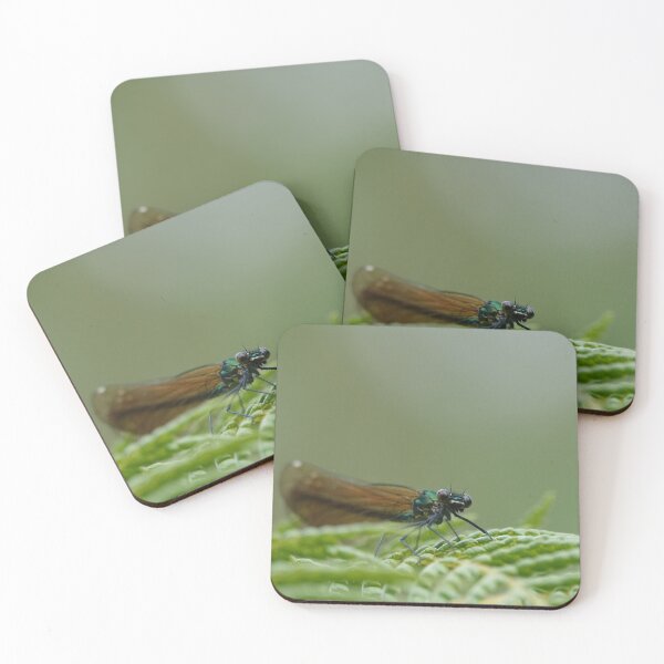 Item preview, Damselfly designed and sold by frogs123.