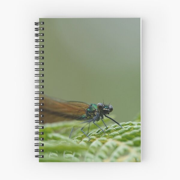 Item preview, Damselfly designed and sold by frogs123.