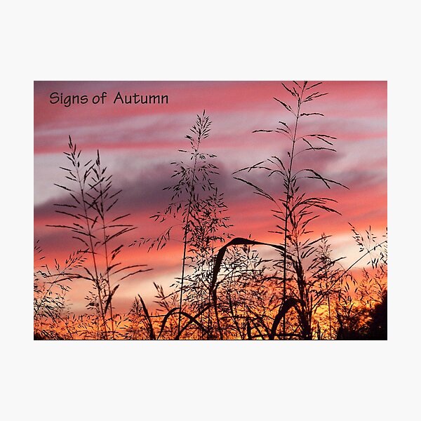 Item preview, Signs of Autumn  designed and sold by lynell.
