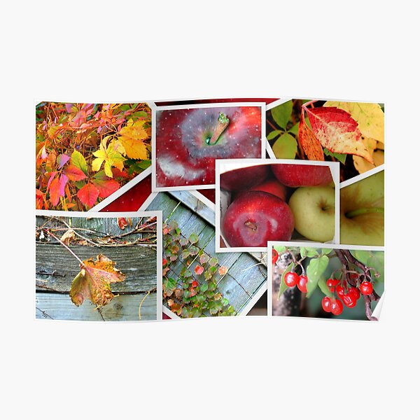 Autumn's Collage of Beauty © Poster