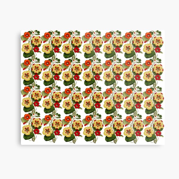 Blumenzauber Metallbild