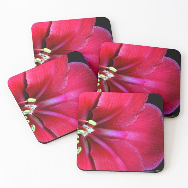 Item preview, Amaryllis designed and sold by Rachael Evans.