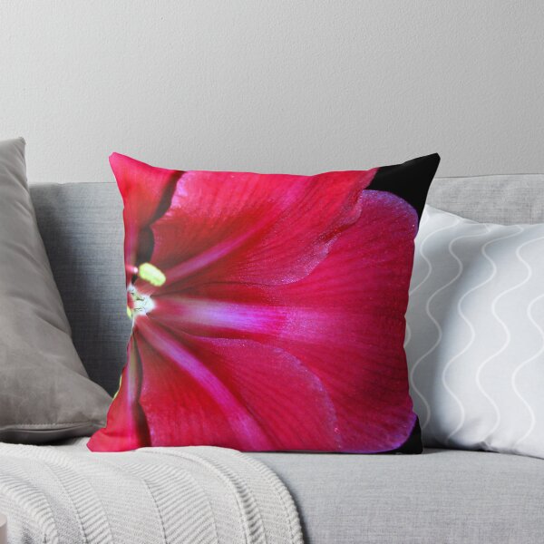 Item preview, Amaryllis designed and sold by Rachael Evans.