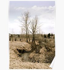 Rural Stream Poster
