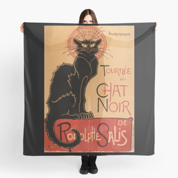 Chat Noir Paris Gifts Merchandise Redbubble