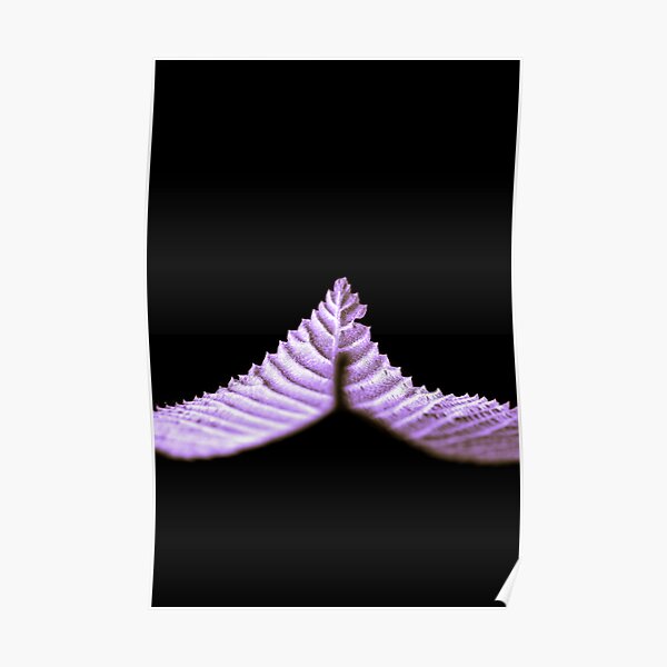"Floating" Poster
