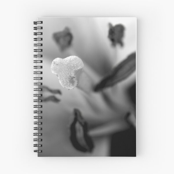 Item preview, Close up of a Tulip Center in Black and White designed and sold by Allen Penton.