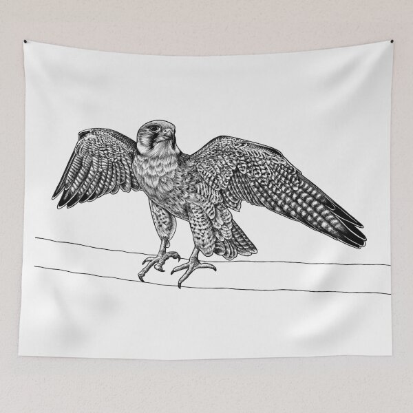 Item preview, Lanner falcon - ink illustration designed and sold by LorenDowding.