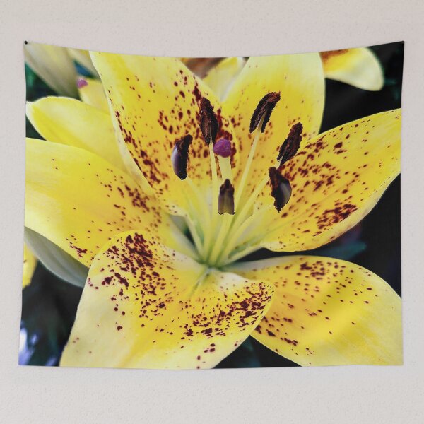 Item preview, Tiger Lily designed and sold by AmberELamoreaux.