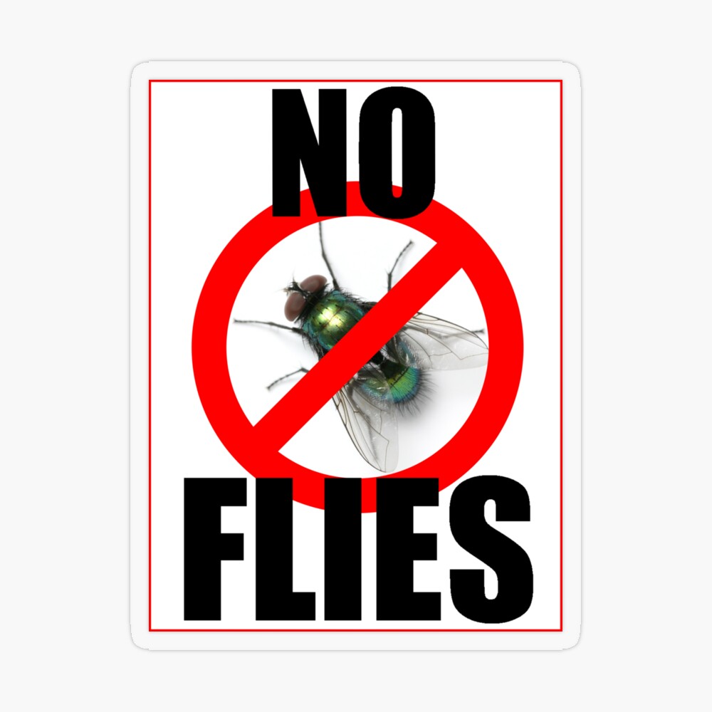 NO FLIES Poster for Sale by loganferret