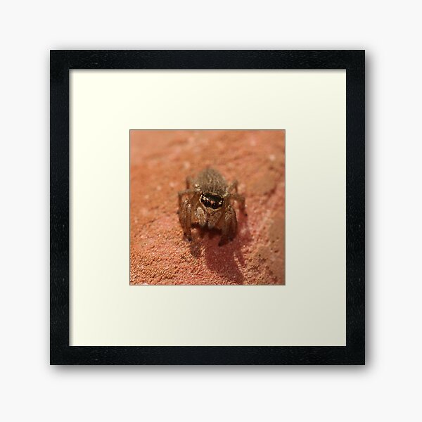 Hello Cutie! Framed Art Print