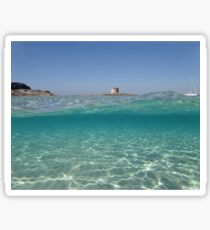 Sardinia underwater - Stintino, la pelosa Sticker